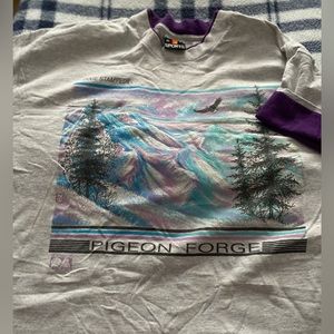 Vintage Pigeon Forge/Dixie Stampede Tshirt!!  GUC!!